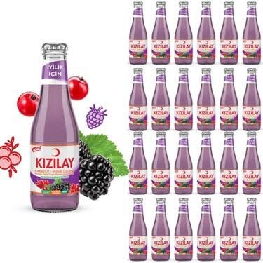 KIZILAY KARADUT & FRENK ÜZÜMÜ 200 ML (24 Adet) Koli