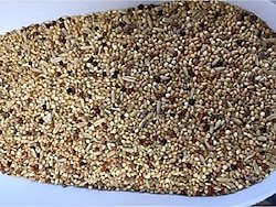 SUDE LİFE MUHABET KUŞU YEMİ 800 GR